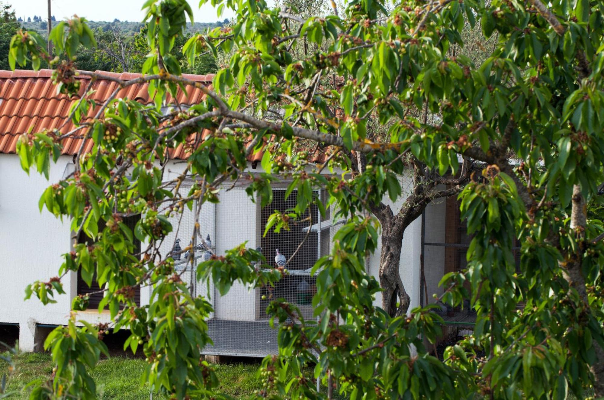 B&B Moderno Fažana Rum bild